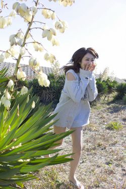 传家电视剧在线观看免费完整版
