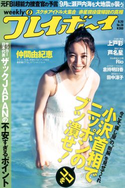 刘家媳妇电视剧全集免费观看